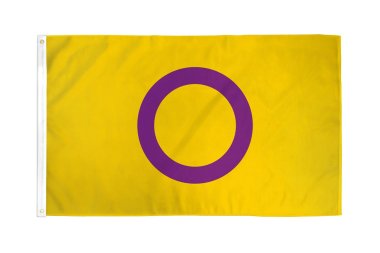 Intersex Flag 3' x 5' Polyester