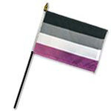 Asexual 4" x 6" Stick Flag