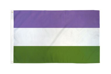 Gender Queer Flag 3' X 5' Polyester
