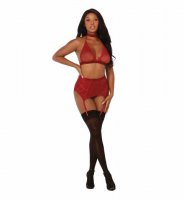 FISHNET & LACE 4PC SET W/ STRETCH VELVET TRIM GARNET O/S