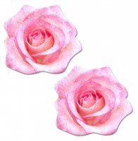 PASTEASE PINK GLITTER VELVET ROSE PINK