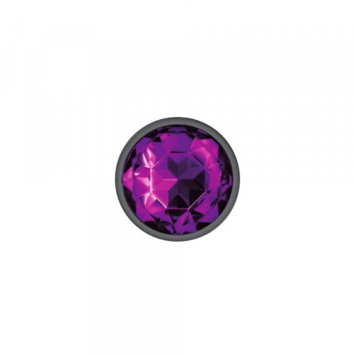 Silver Metal Plug - Round-Purple-Small