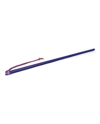 Spartacus 24\" Leather Wrapped Cane - Purple