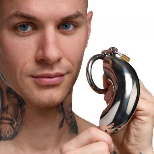 Locking Stainless Chastity Cage 3 rings