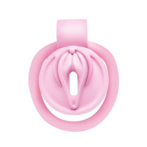 Pussification Vulva Chastity Cage