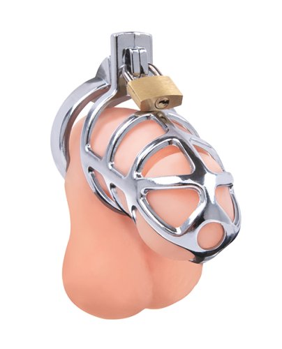 Lockmaster 3.75\" Stainless Steel Prisoner Cock Cage - Silver