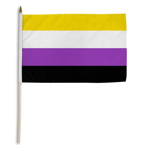 NON-BINARY 12\" x 18\" Stick Flag