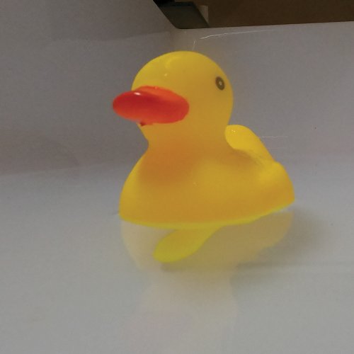 DUCK WITH A DICK