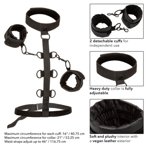 Boundless™ Collar Body Restraint