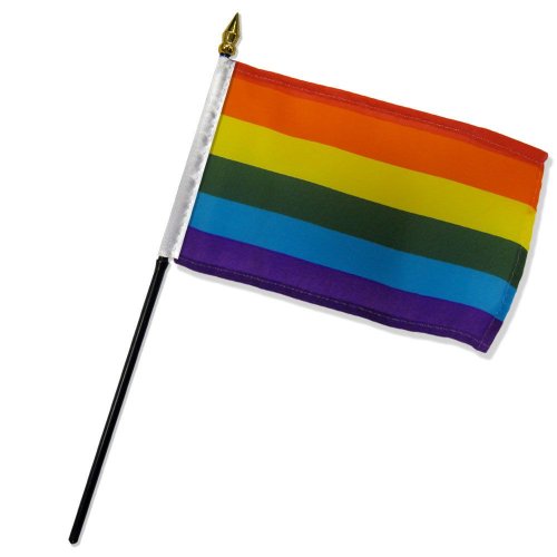 Rainbow Stick Flag 4\" X 6\"