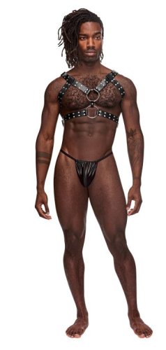 GEMINI LEATHER HARNESS BLACK O/S