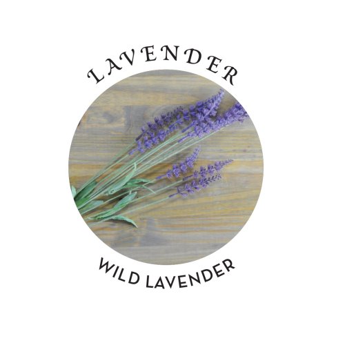 CBD DAILY LAVENDER 3-IN-1 MASSAGE CANDLE 6 OZ
