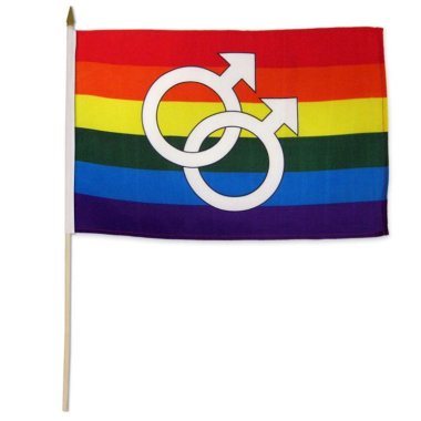 Rainbow Double Mars Stick Flag 12" X 18*