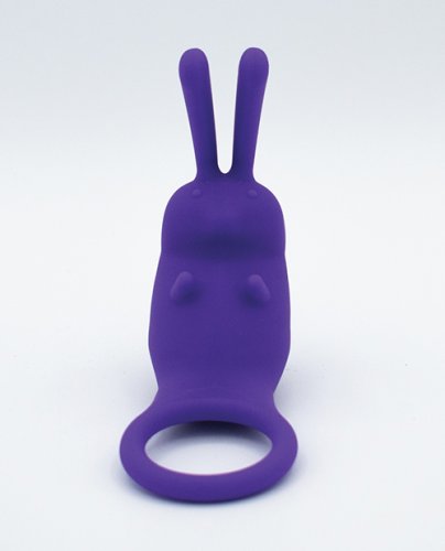 Natalie\'s Toy Box The Cock Hopper Cock Ring & Bullet Vibrator - Purple