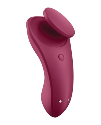 SATISFYER SEXY SECRET WINE RED (NET)