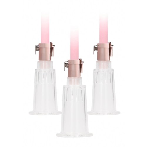 Pumped Clitoral & Nipple Pump Set Rose