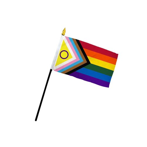 Inclusive Pride 4\" x 6\" Stick Flag