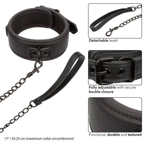 NOCTURNAL COLLAR & LEASH