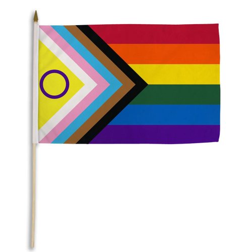 Inclusive Pride 12\" x 18\" Stick Flag