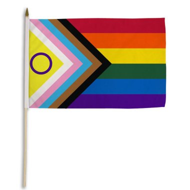 Inclusive Pride 12" x 18" Stick Flag