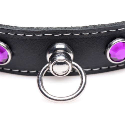 Royal Vixen Leather Choker Rhinestones