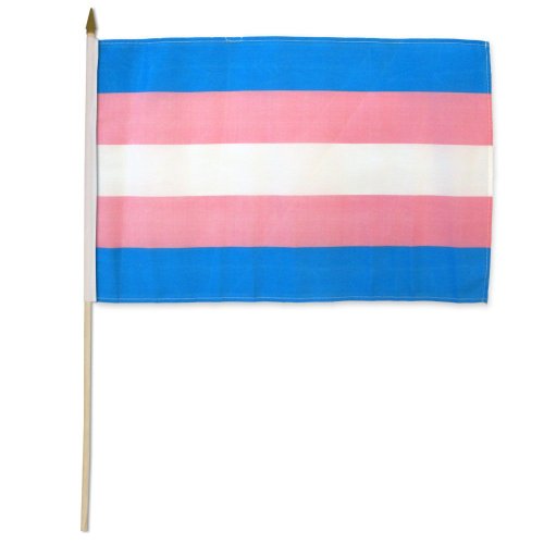 Transgender 12\"x18\" Stick Flag