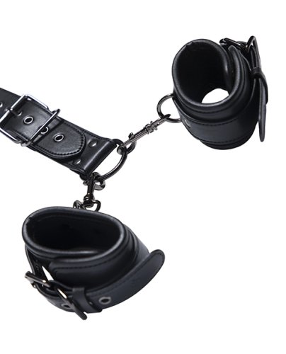NO ETA $Locking Harness Collar to Wrist Restraints - Black