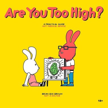 Are You Too High? Storybook *