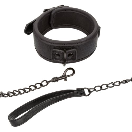 NOCTURNAL COLLAR & LEASH