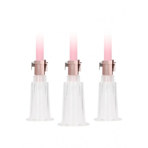 Pumped Clitoral & Nipple Pump Set Rose