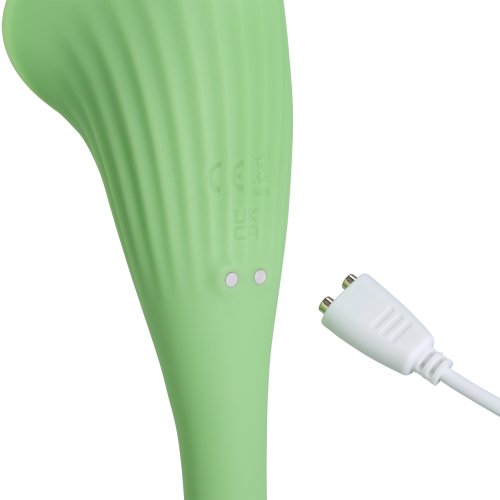 CLOUD 9 SPATHE LILY VIBE TWO-TONE GREEN