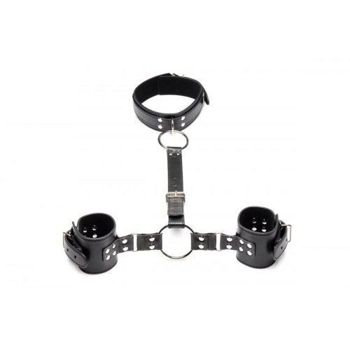 Neck to Wrist Restraints