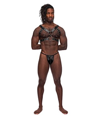 Leather Gemini Double Ring Harness Black O/S