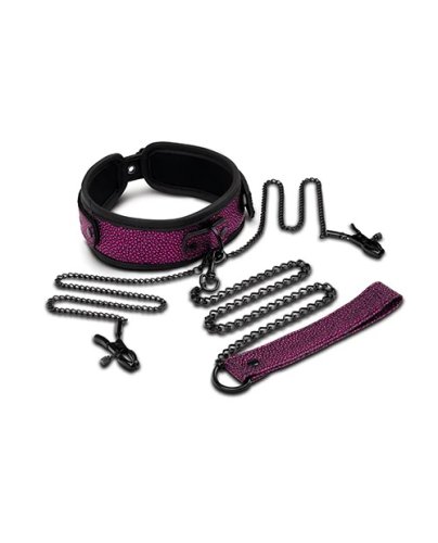 DRAGONS LAIR COLLAR LEASH NIPPLE CLIP