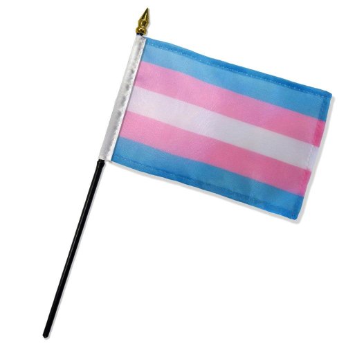 Transgender 4\"x 6\" Stick Flag