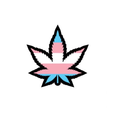 Enamel Pin: Trans Weed Leaf