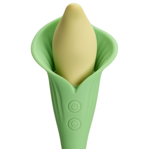 CLOUD 9 SPATHE LILY VIBE TWO-TONE GREEN