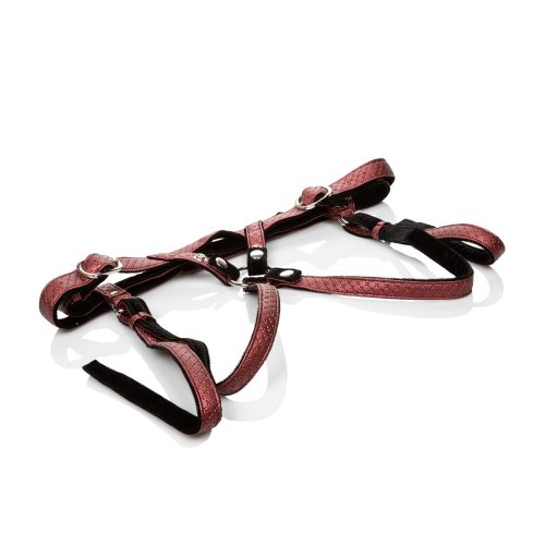 HER ROYAL HARNESS THE REGAL DUCHESS RED