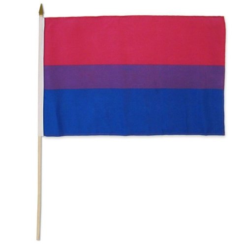 Bisexual 12\" x 18\" Stick Flag