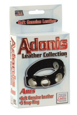 ADONIS LEATHER COLLECTION ARES