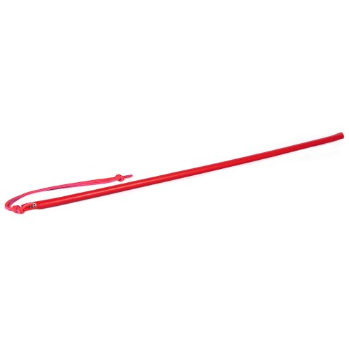 Leather Wrapped Cane 24\" Red