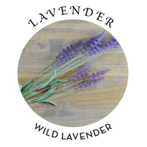 Massage Oil Lavender Scent 2 fl oz / 60 ml