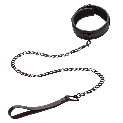 NOCTURNAL COLLAR & LEASH