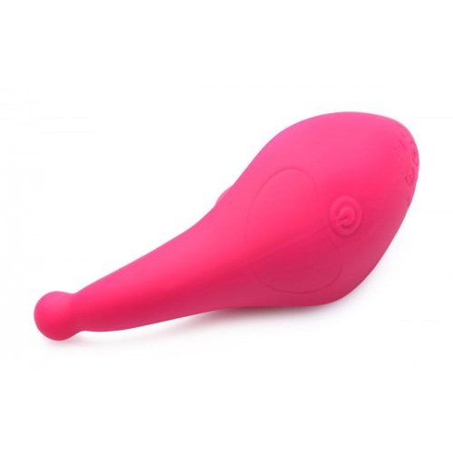 Voice Activated 10X Panty Vibe w R/C