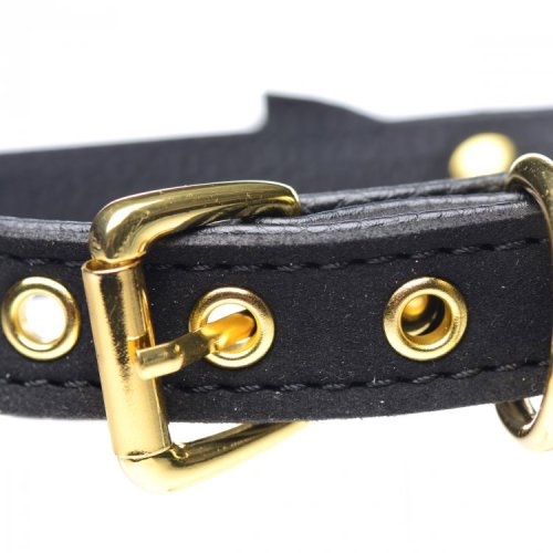 Golden Kitty Cat Bell Collar -Black/Gold