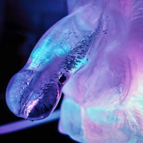 Huge Penis Ice Luge - party drinking!