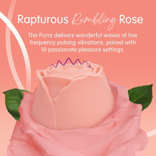 Skins Rose Buddies - The Rose Purrz