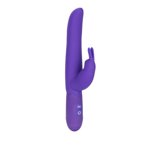 POSH 10 FUNCTION BOUNDING BUNNY PURPLE