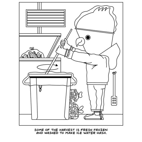 Visit to the Canabis Farm Colouring Book