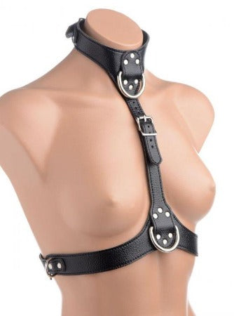 Strict Female Chest Harness